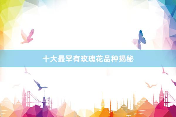 十大最罕有玫瑰花品种揭秘